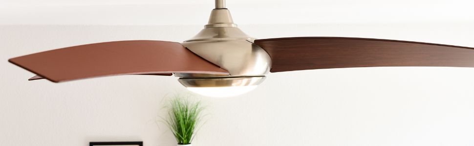 Borealis walnut fan