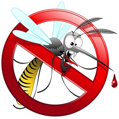 insektenschutz_1.jpg
