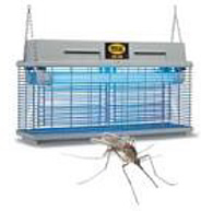 insektenschutz_2.jpg